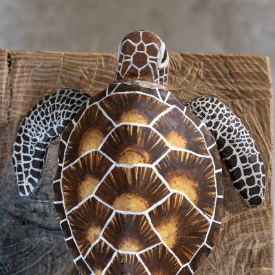 man with t_turtle-I.jpg