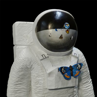Spaceman_Butterflys_sr.jpg