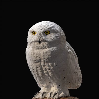 snowy_owl.jpg
