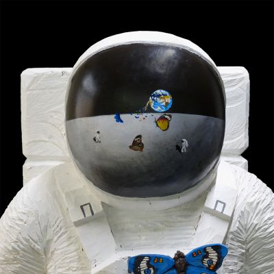 Spaceman_Butterflys_vi.jpg