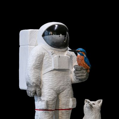 Spaceman_Kingfisher_shr.jpg