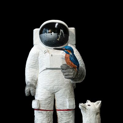 Spaceman_Kingfisher_I.jpg